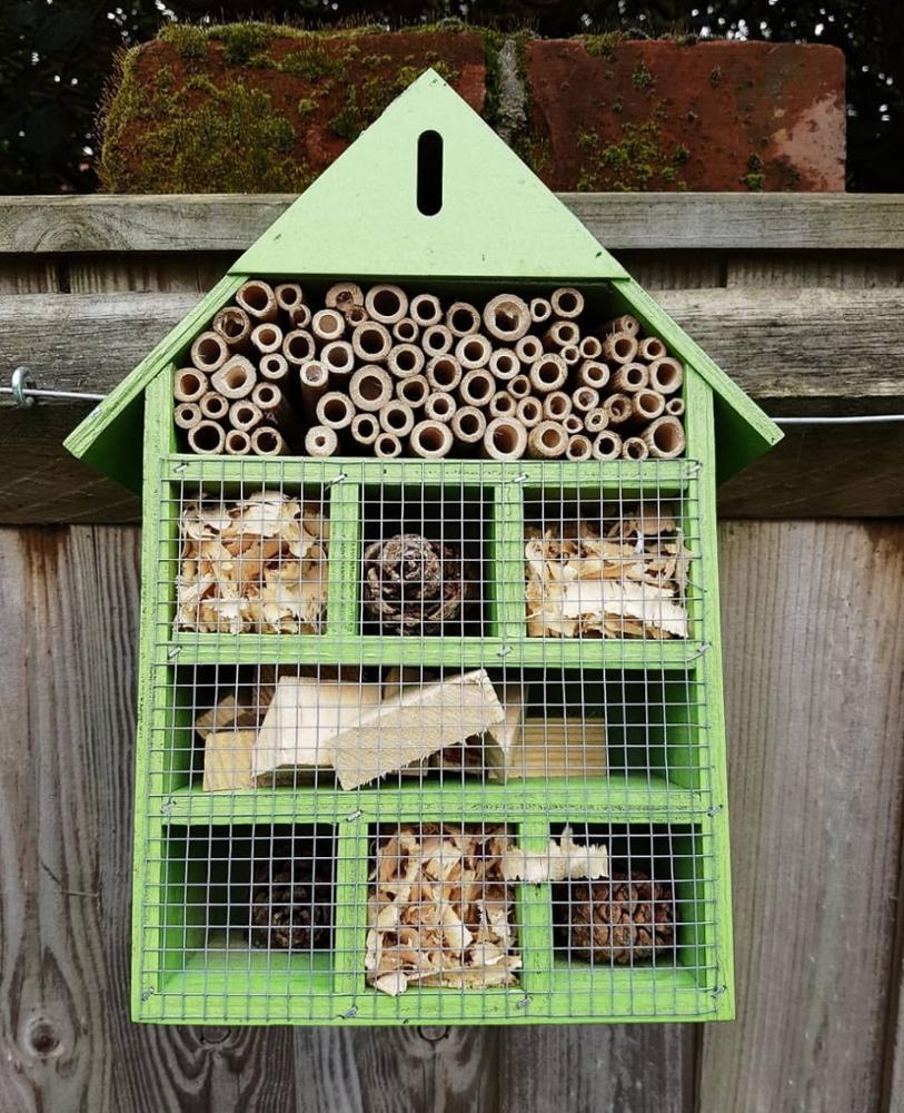 NEST-0030A.JPG