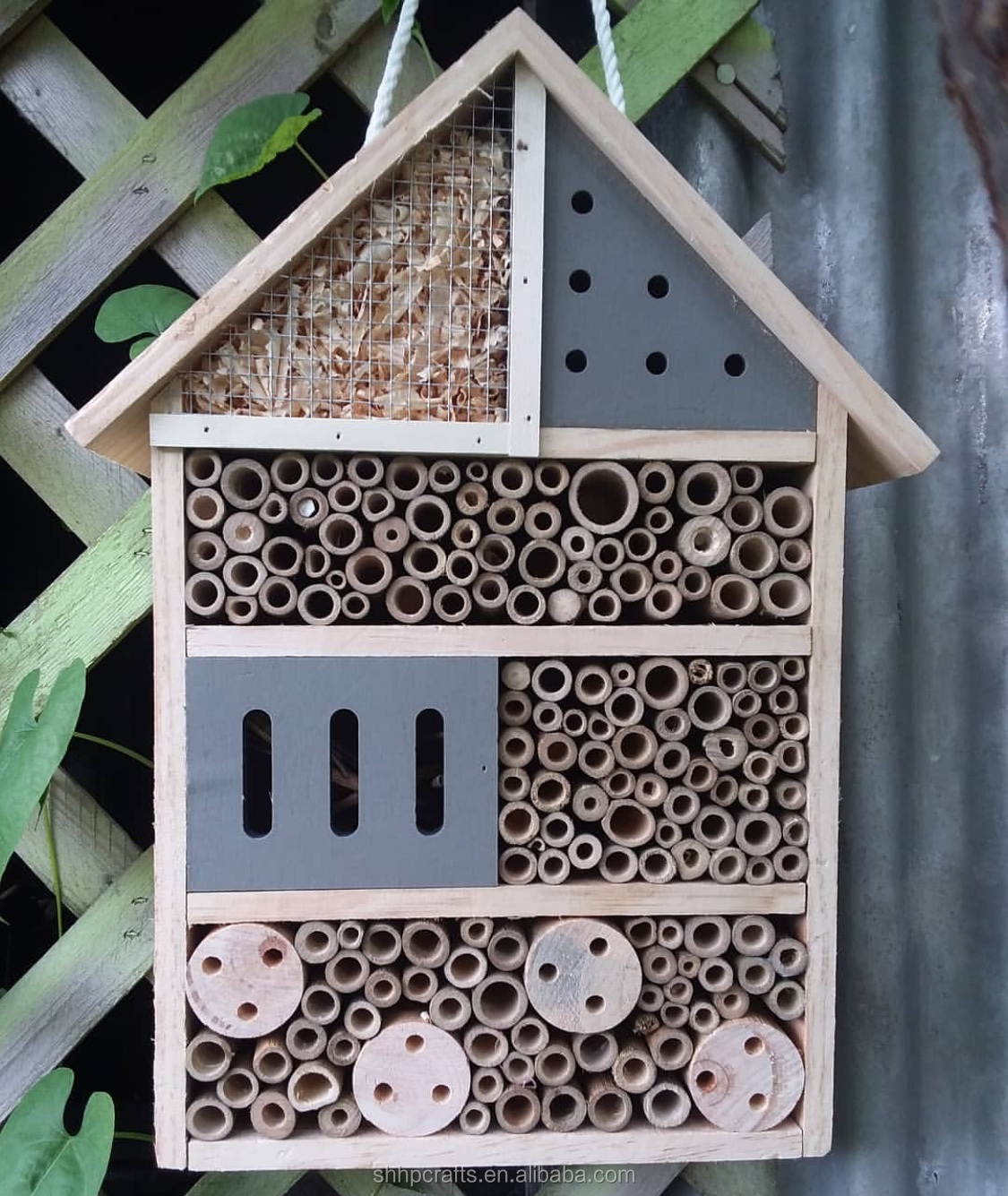 NEST-0029A.JPG