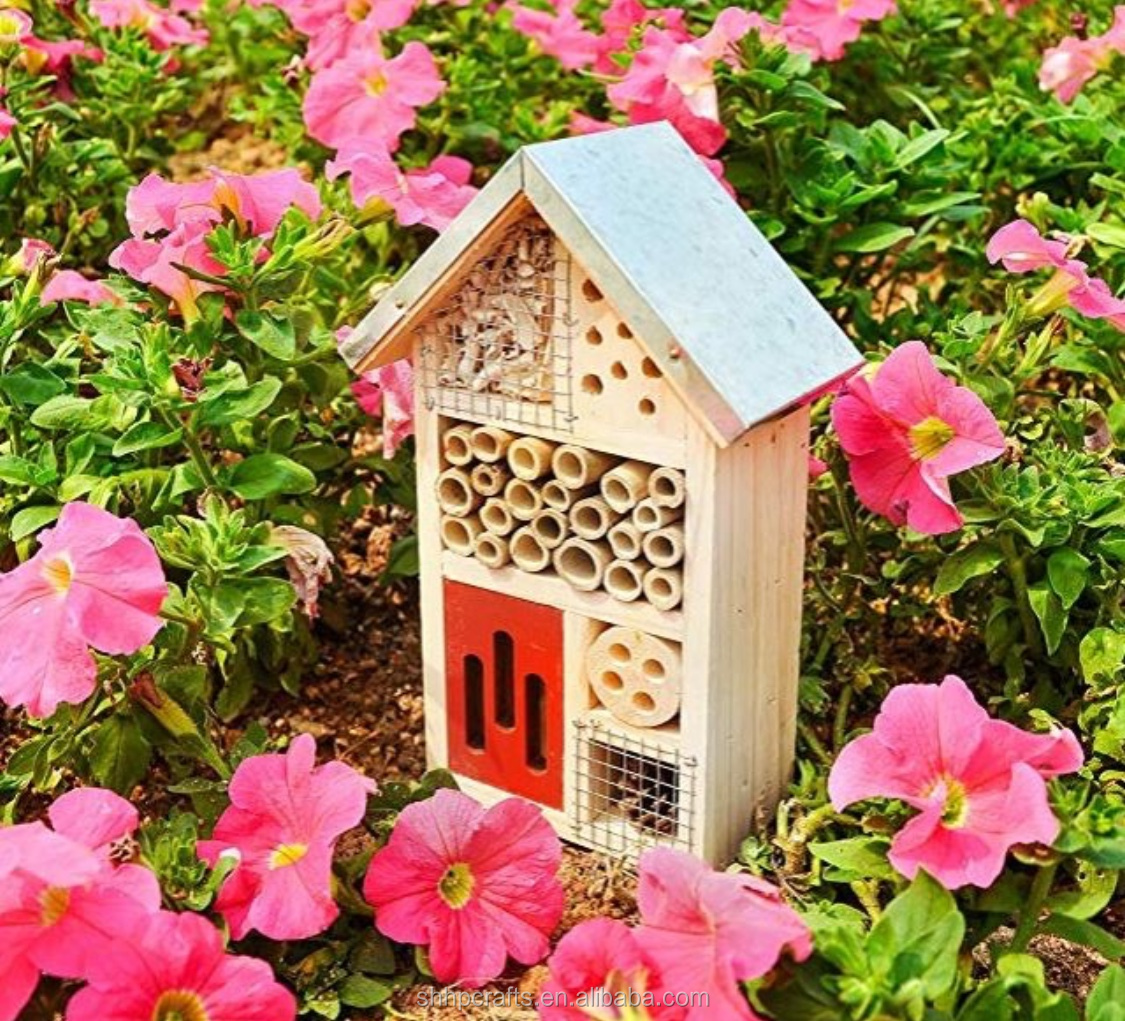 NEST-0027A.JPG