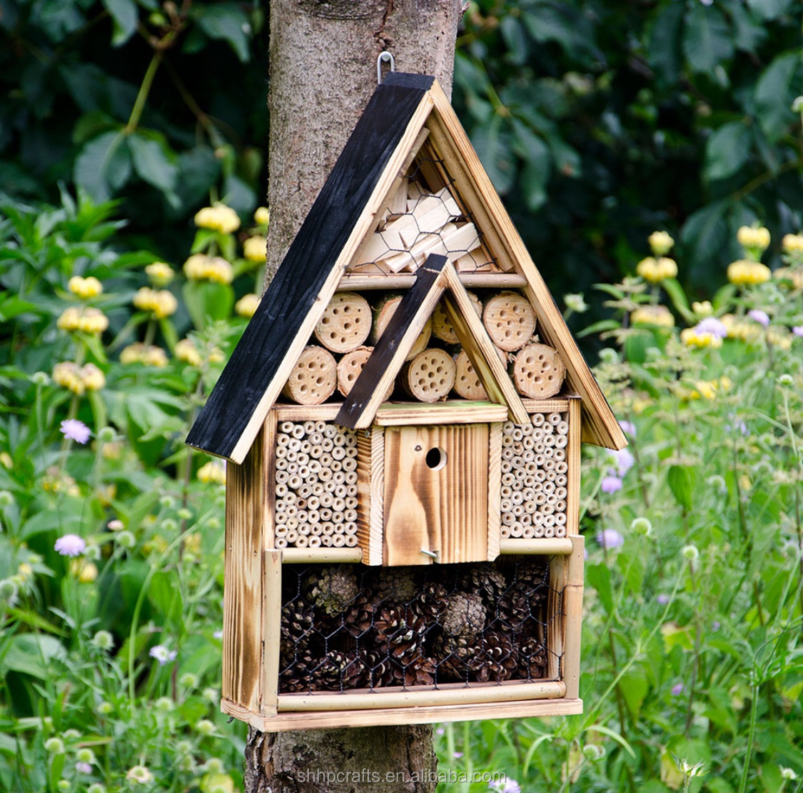NEST-0025A.JPG