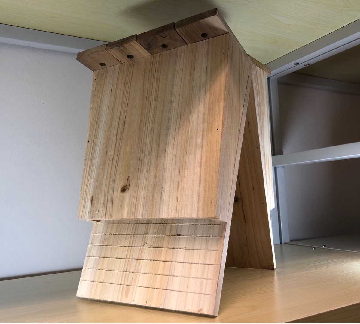 NEST-0017B.jpg