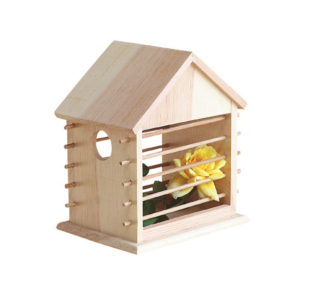 NEST-0014A.jpg