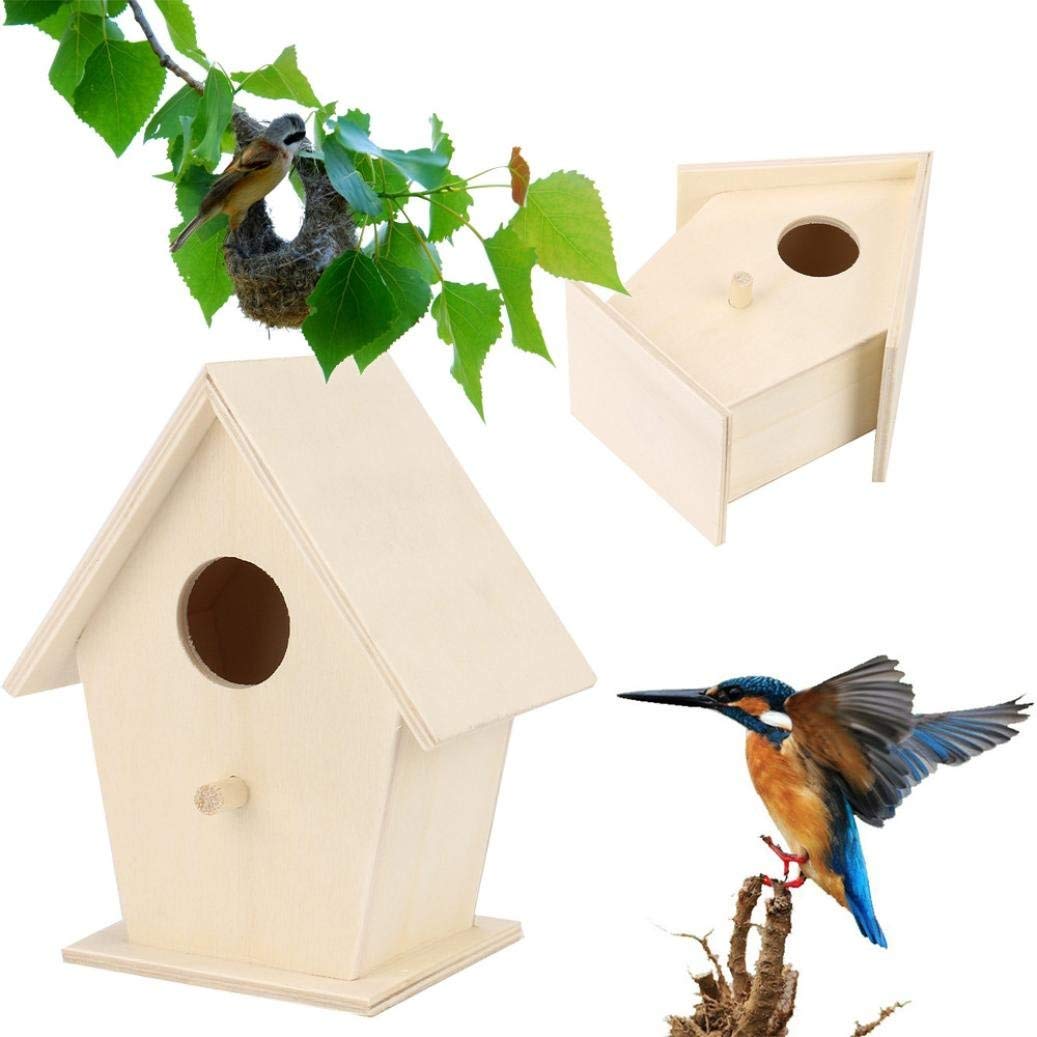 NEST-0007D.jpg
