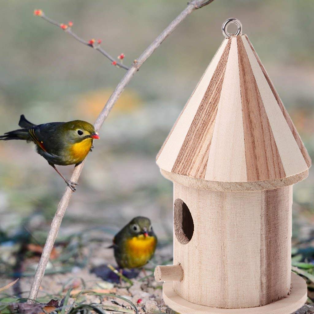 NEST-0006C.jpg