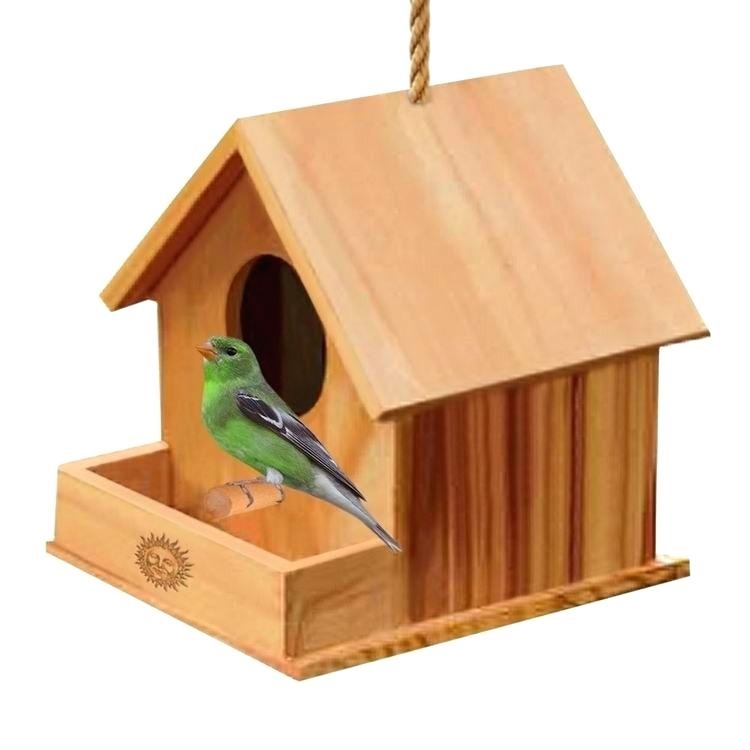 NEST-0005A.jpg